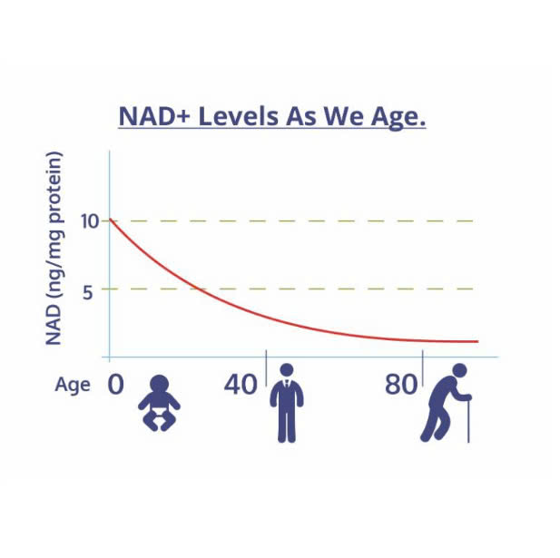 Giải đáp: Bao nhiêu tuổi uống NMN là tốt nhất để trẻ hóa tế bào?