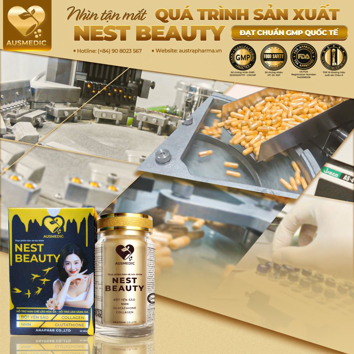 SỨC KHỎE VỮNG – TINH THẦN VƯƠN XA: AUSMEDIC ĐỒNG HÀNH CÙNG DOANH NHÂN QUẢNG NGÃI