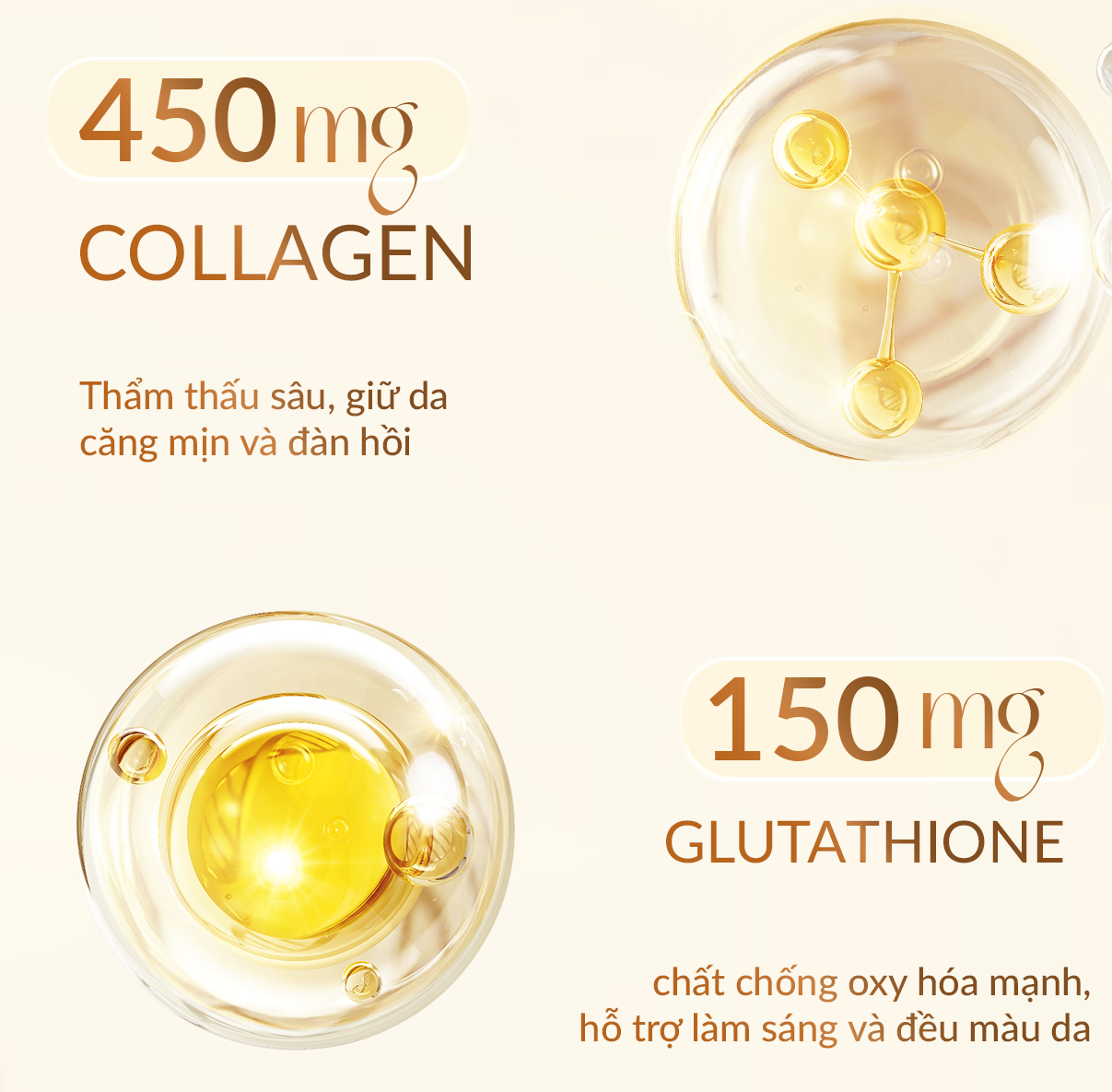  Công Dụng Viên Uống Yến Sào Nest Beauty: Bí Quyết Cho Làn Da Không Tuổi