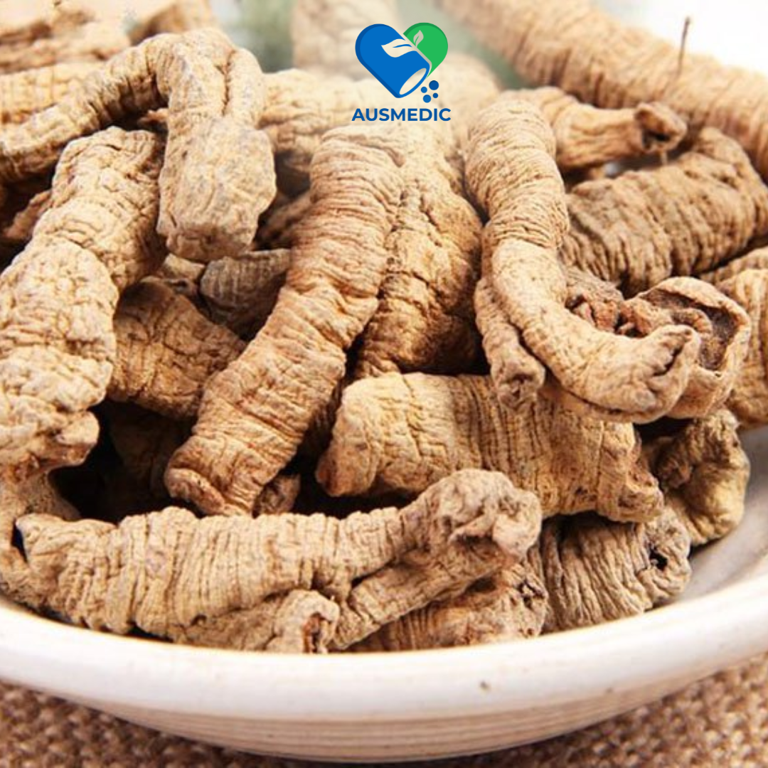 Ba Kích: Giải pháp từ tự nhiên giúp cải thiện sinh lý nam giới