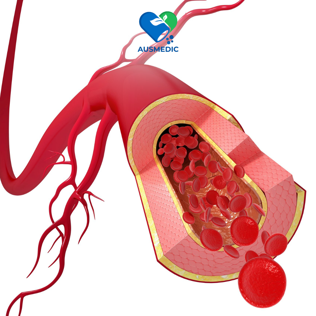 L-Arginine hydroclorid - Amino Acid thiết yếu cho sức khoẻ