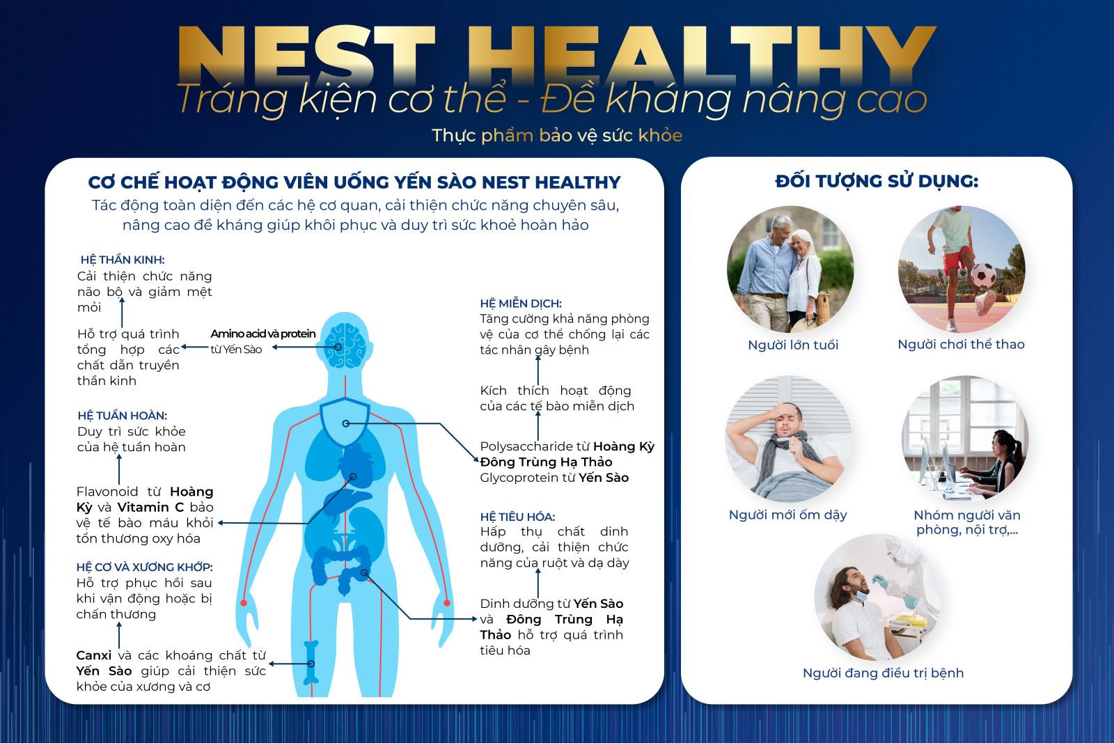 NEST HEALTHY -  TRÁNG KIỆN CƠ THỂ, ĐỀ KHÁNG NÂNG CAO