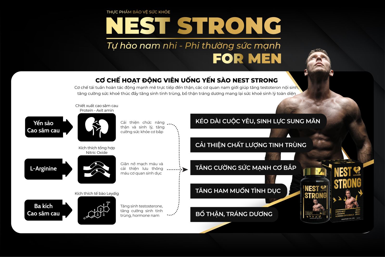 Cơ chế Nest Strong