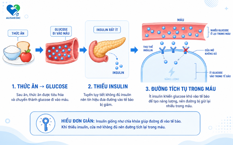 Cơ Thể Thiếu Insulin Gây Bệnh Gì? Dấu Hiệu Cảnh Báo Và Phác Đồ Bù Đắp Kịp Thời