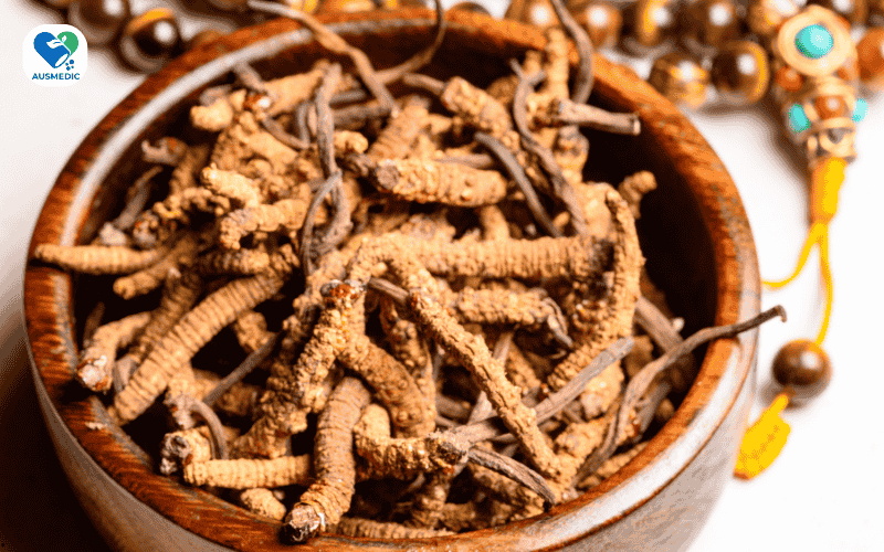 Top 8 Thảo Dược Tăng Cường Sinh Lý Nam Giới Từ Thiên Nhiên