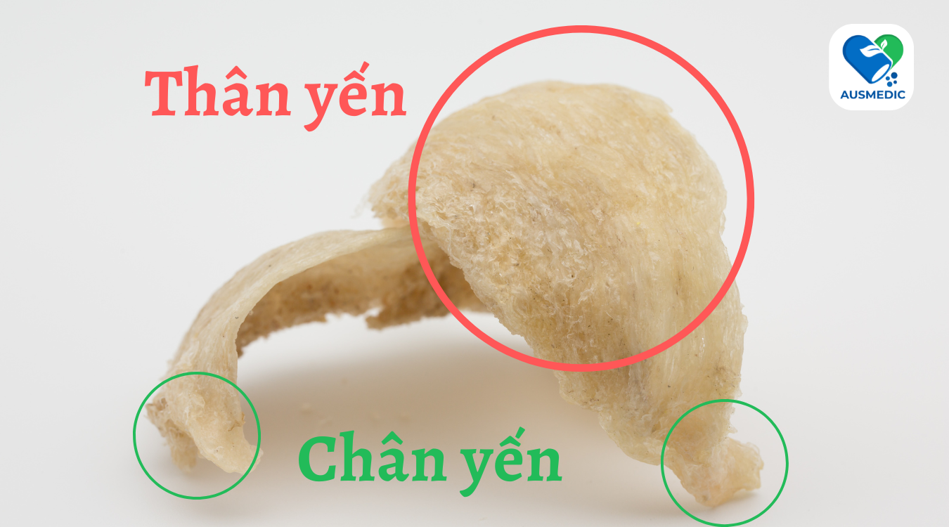 Tổ yến sào