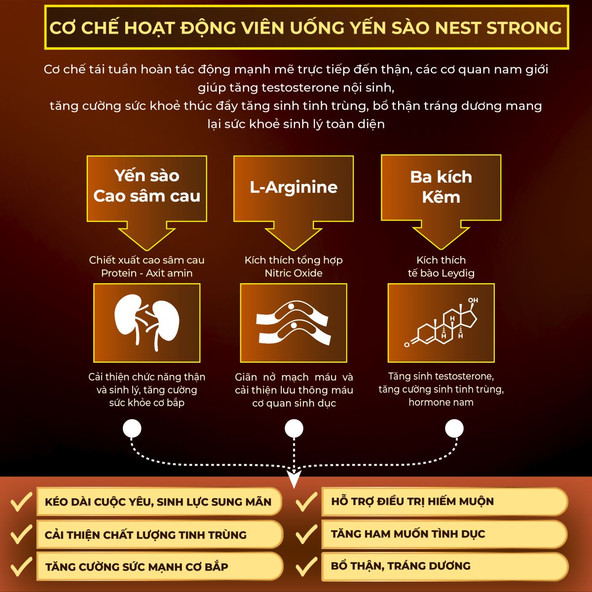 Cơ chế Nest Strong