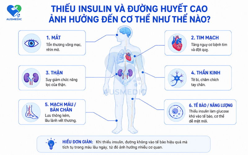 Cơ Thể Thiếu Insulin Gây Bệnh Gì? Dấu Hiệu Cảnh Báo Và Phác Đồ Bù Đắp Kịp Thời