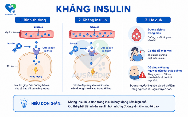 Dấu hiệu kháng insulin: 10 biểu hiện sớm, cách nhận biết và hướng xử lý đúng
