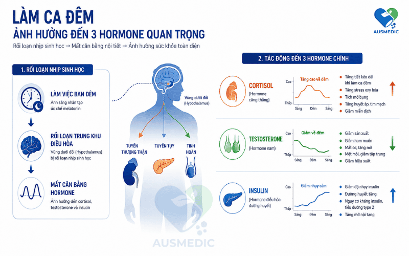 Làm Ca Đêm Có Hại Không? Tác Hại Thực Sự Đến Sức Khỏe Và Cách Giảm Thiểu