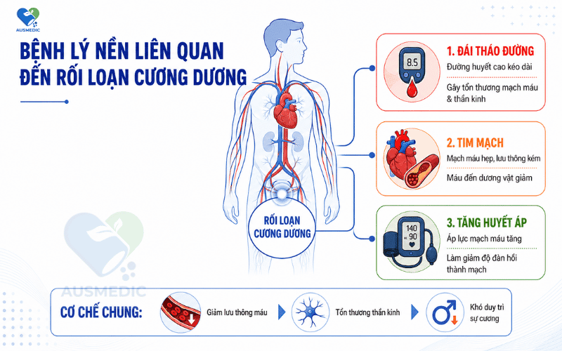Nguyên Nhân Rối Loạn Cương Dương: 3 Nhóm Gốc Rễ Nam Giới Cần Biết
