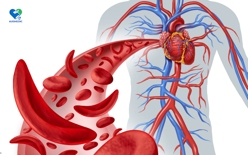 Uống L-Arginine Bao Lâu Thì Có Tác Dụng? Hướng Dẫn Hiệu Quả Cho Sức Khỏe