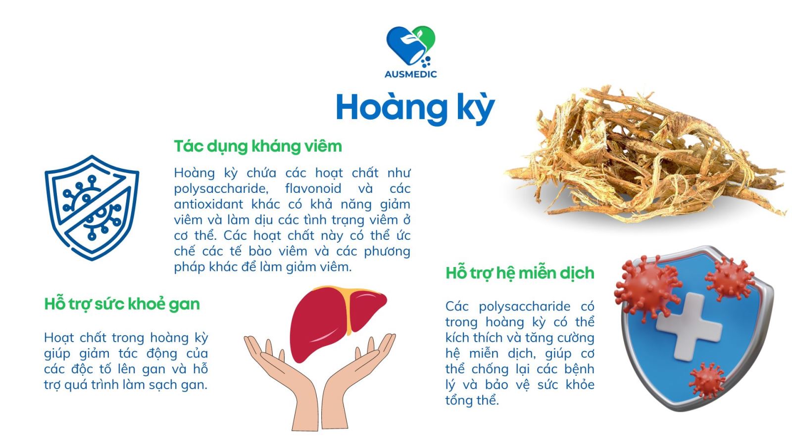 Hoàng kỳ - Vị thuốc quý trong y học cổ truyền