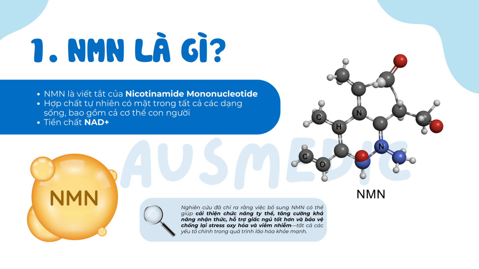 Nên uống hàm lượng NMN bao nhiêu mỗi ngày? Hướng dẫn chuẩn khoa học 2026