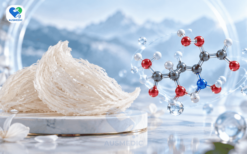 Sialic Acid Là Gì? Vai Trò Và Lợi Ích Đối Với Cơ Thể