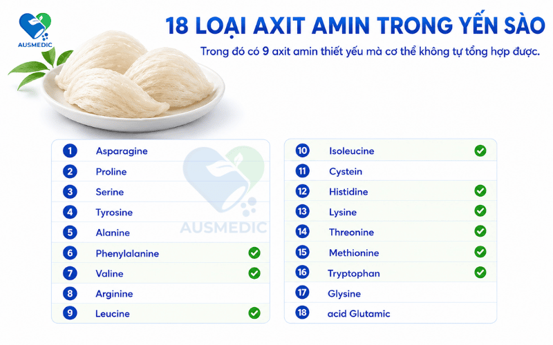 Protein Là Gì? Cấu Trúc, Vai Trò Và Cách Bổ Sung Đúng Cách