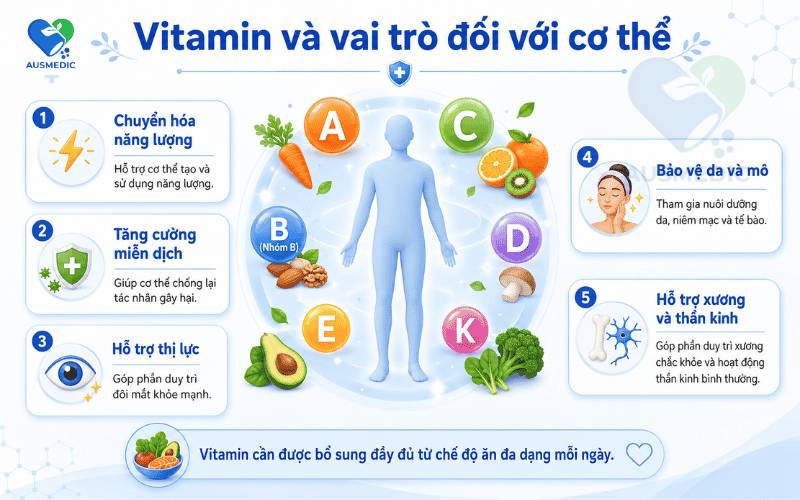 Vitamin Là Gì? Phân Loại, Vai Trò Và Những Điều Cần Biết Khi Bổ Sung