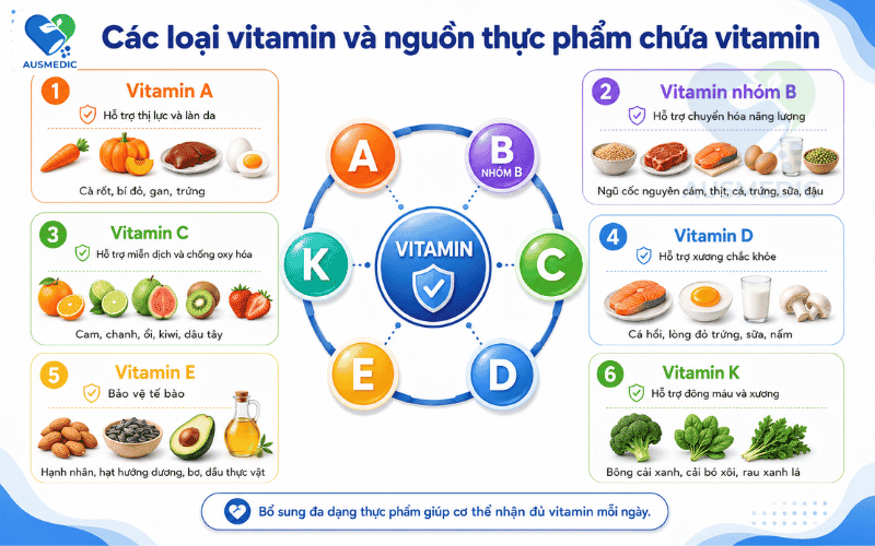 Vitamin Là Gì? Phân Loại, Vai Trò Và Những Điều Cần Biết Khi Bổ Sung