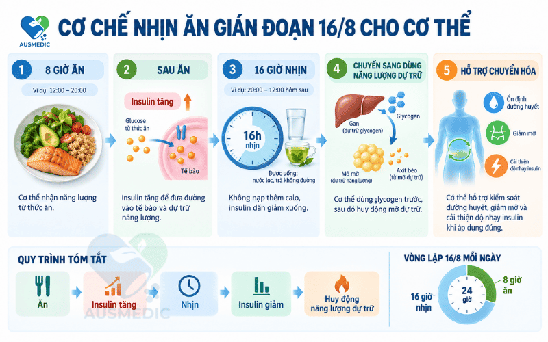 Nhịn Ăn Gián Đoạn 16/8: Lợi Ích Thực Sự Và Cảnh Báo Quan Trọng Cần Biết