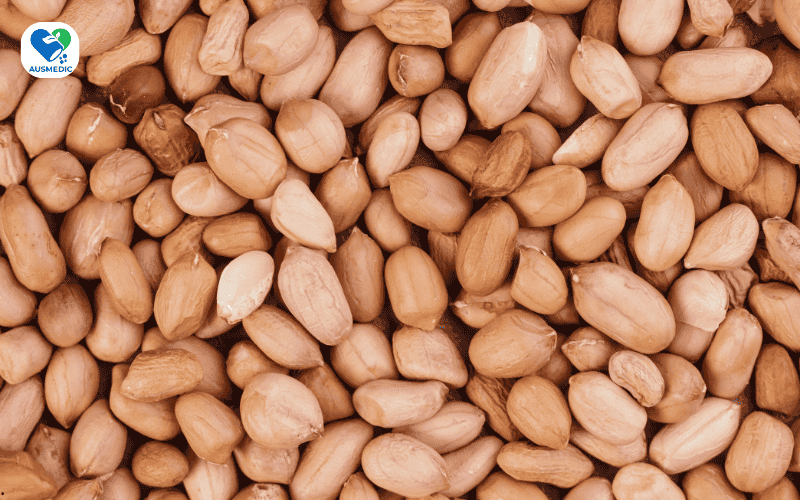 Top 7 Loại Hạt Giàu Protein Nhất Cho Chế Độ Ăn