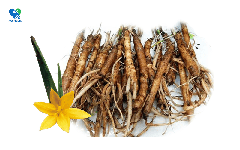 Top 8 Thảo Dược Tăng Cường Sinh Lý Nam Giới Từ Thiên Nhiên