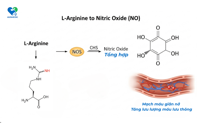 Giải đáp: L-Arginine có kéo dài thời gian quan hệ không?