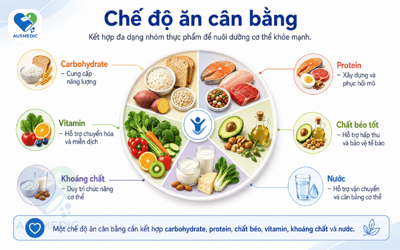 Các Nhóm Chất Dinh Dưỡng Cần Thiết Cho Cơ Thể: Phân Loại Chuẩn Khoa Học