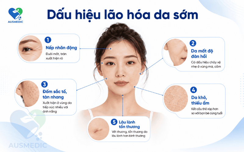Lão Hóa Da Sớm Do Đâu? Nguyên Nhân Khoa Học Và Cách Nhận Biết Sớm