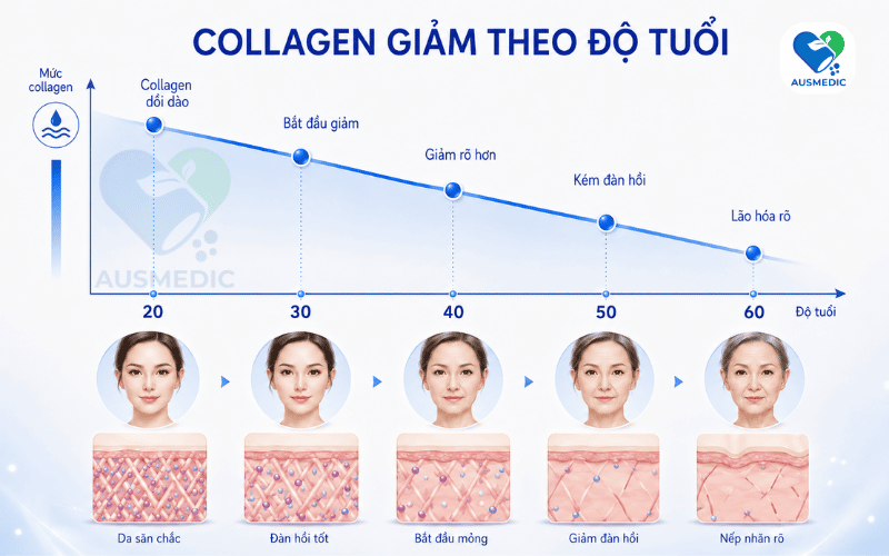 Lão Hóa Da: Nguyên Nhân Từ Cấp Độ Tế Bào Và Giải Pháp Khoa Học
