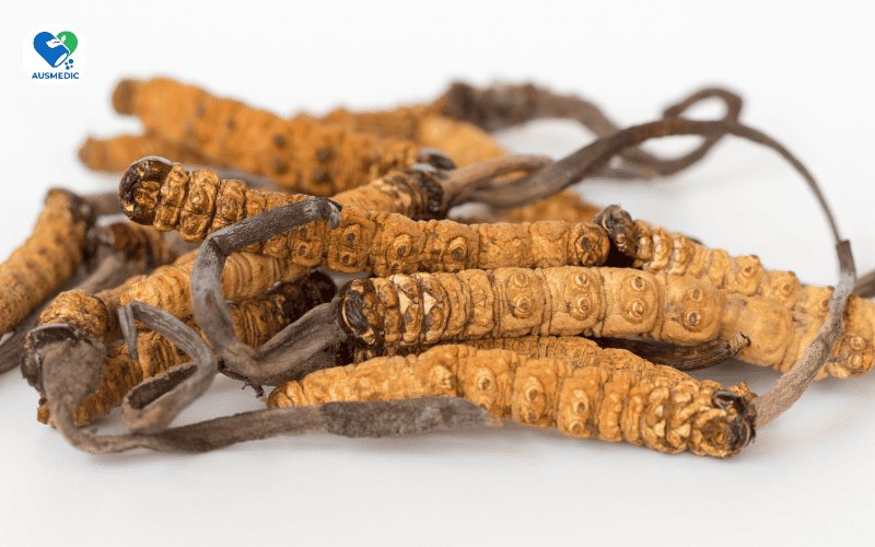 Đông trùng hạ thảo - Thần dược từ thiên nhiên