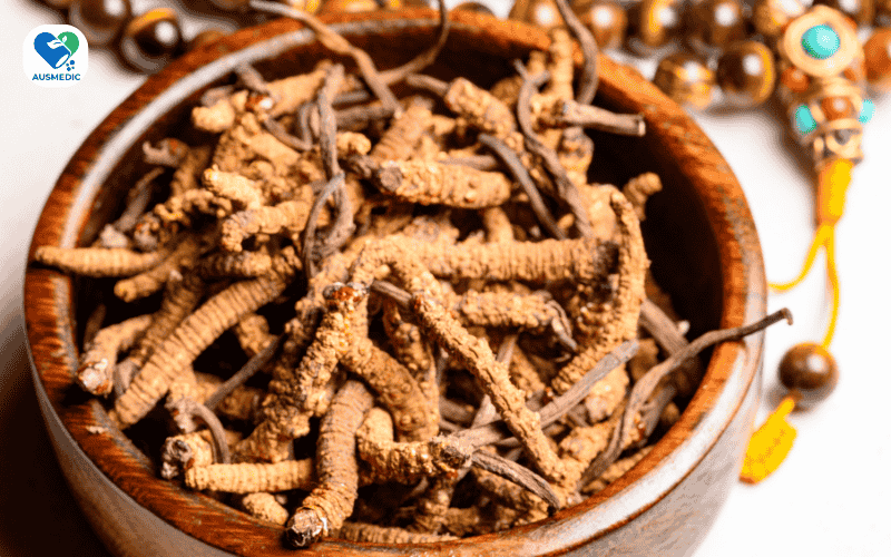 Đông trùng hạ thảo - Thần dược từ thiên nhiên