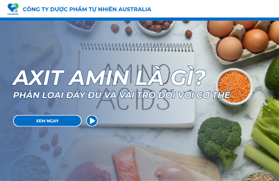 Axit Amin Là Gì? Phân Loại Đầy Đủ Và Vai Trò Đối Với Cơ Thể