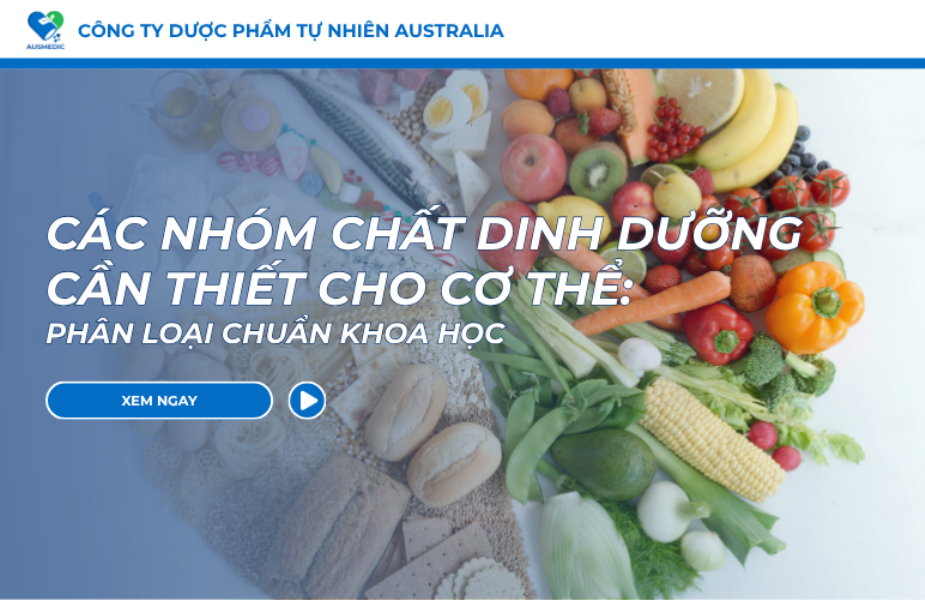 Các Nhóm Chất Dinh Dưỡng Cần Thiết Cho Cơ Thể: Phân Loại Chuẩn Khoa Học