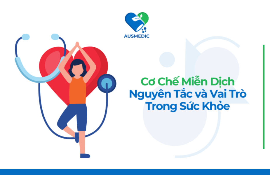 Cơ Chế Miễn Dịch: Nguyên Tắc và Vai Trò Trong Sức Khỏe