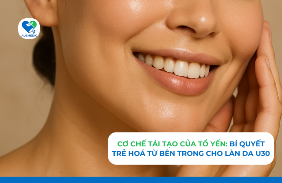 Cơ Chế Tái Tạo Da Của Tổ Yến: Bí Quyết 