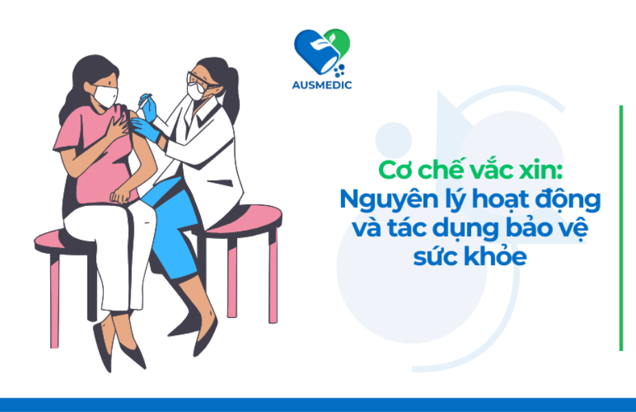 Cơ chế vắc xin: Nguyên lý hoạt động và tác dụng bảo vệ sức khỏe