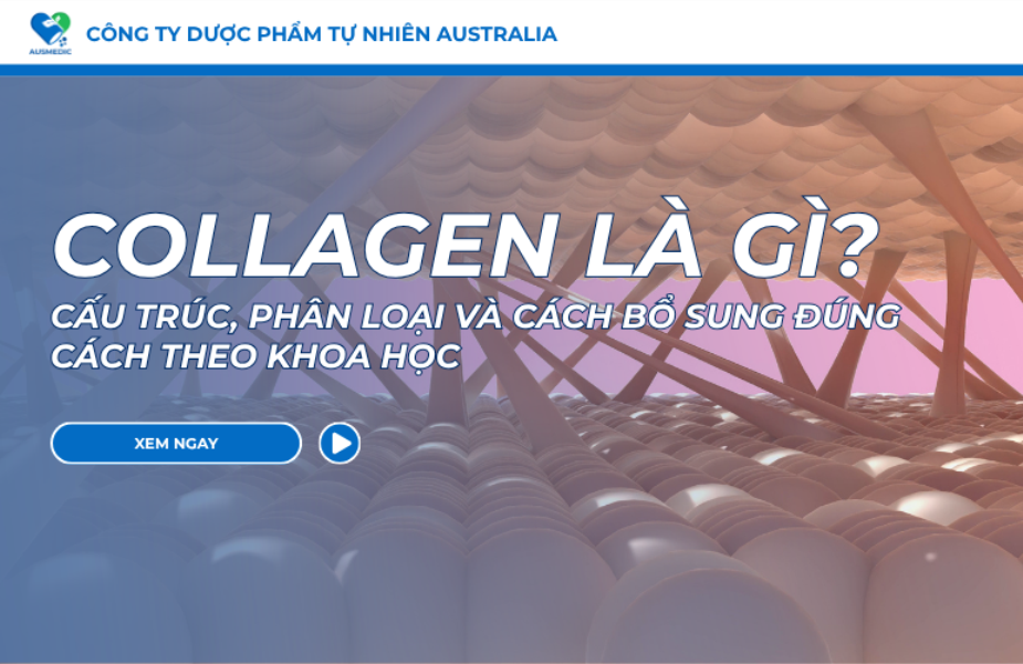 Collagen Là Gì? Cấu Trúc, Phân Loại Và Cách Bổ Sung Đúng Cách Theo Khoa Học