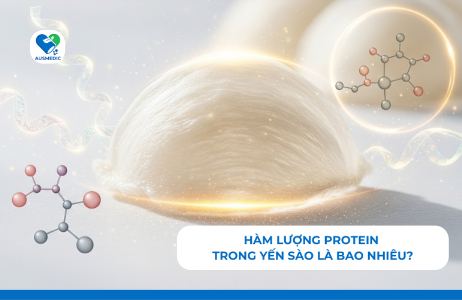 Hàm Lượng Protein Trong Yến Sào Là Bao Nhiêu?