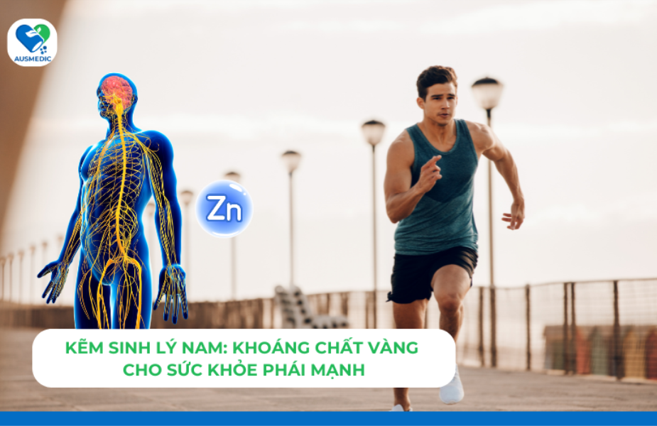 Kẽm sinh lý nam: Khoáng chất vàng cho sức khỏe phái mạnh