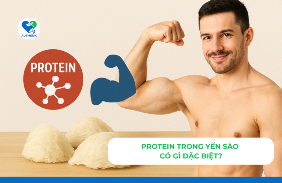 Protein Trong Yến Sào Có Gì Đặc Biệt?