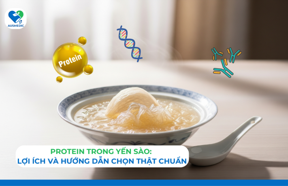 Protein trong yến sào: Lợi ích và hướng dẫn chọn thật chuẩn