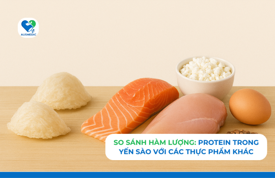 So Sánh Hàm Lượng Protein Trong Yến Sào Với Các Thực Phẩm Khác