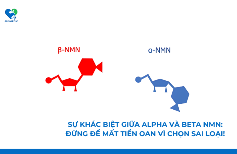 Sự khác biệt giữa Alpha và Beta NMN: Đừng để mất tiền oan vì chọn sai loại!