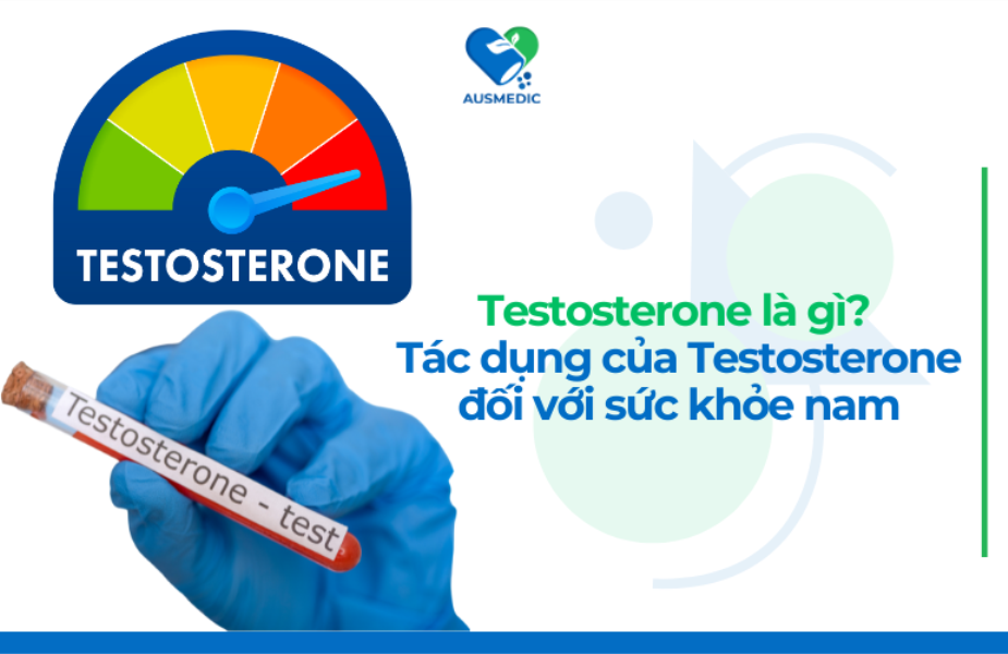 Testosterone là gì? Tác dụng của Testosterone đối với sức khỏe nam