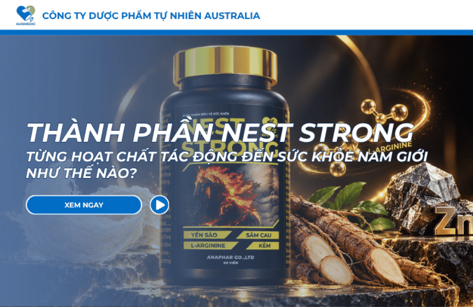 Thành Phần Nest Strong: Từng Hoạt Chất Tác Động Đến Sức Khỏe Nam Giới Như Thế Nào?