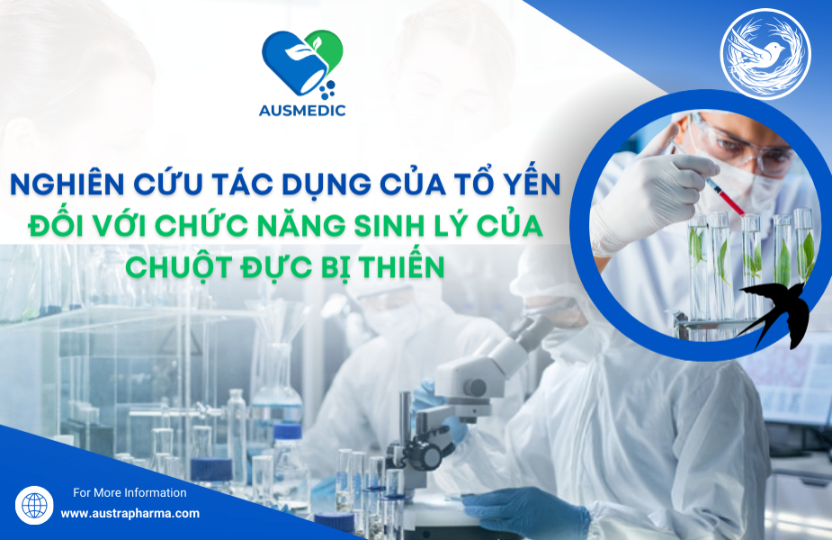 TỔ YẾN ĐỐI VỚI CHỨC NĂNG SINH LÝ CỦA CHUỘT ĐỰC BỊ THIẾN 