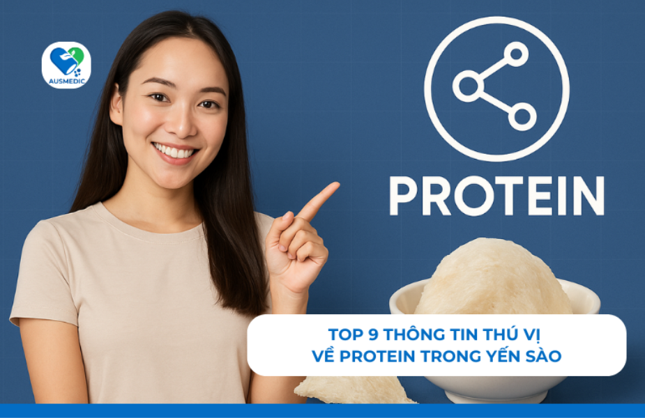 Top 9 Thông Tin Thú Vị Về Protein Trong Yến Sào