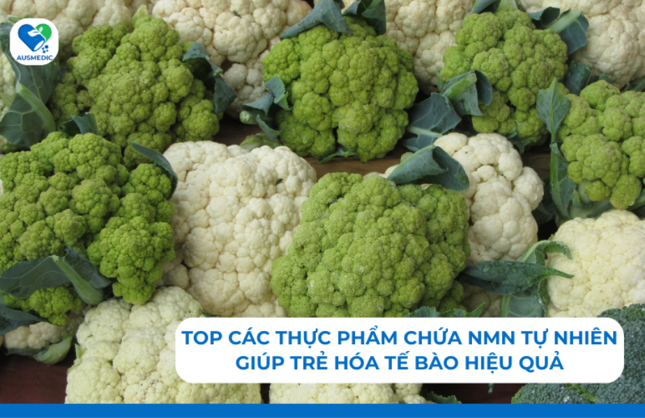 Top các thực phẩm chứa NMN tự nhiên giúp trẻ hóa tế bào hiệu quả