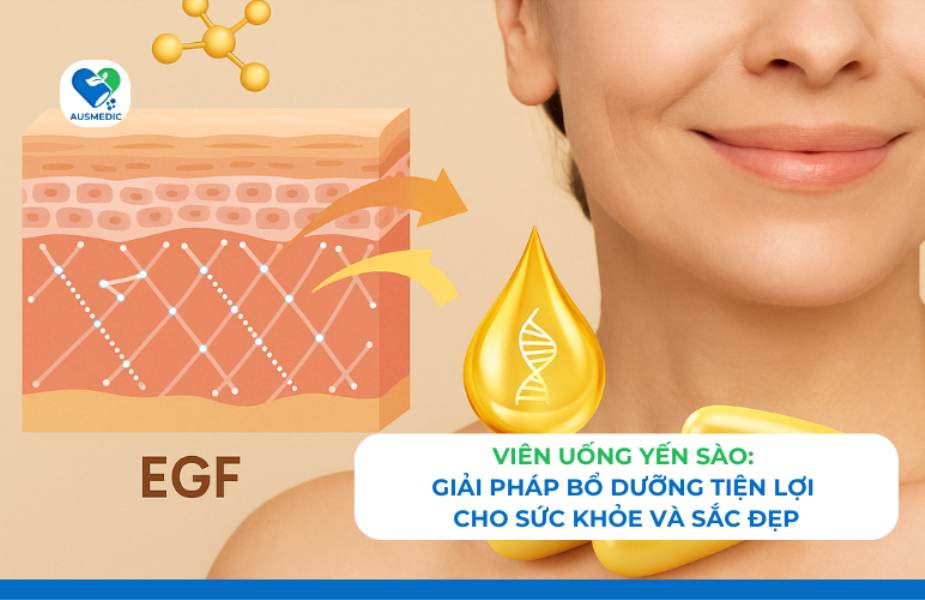 Viên Uống Yến Sào – Giải Pháp Bổ Dưỡng Tiện Lợi Cho Sức Khỏe Và Sắc Đẹp