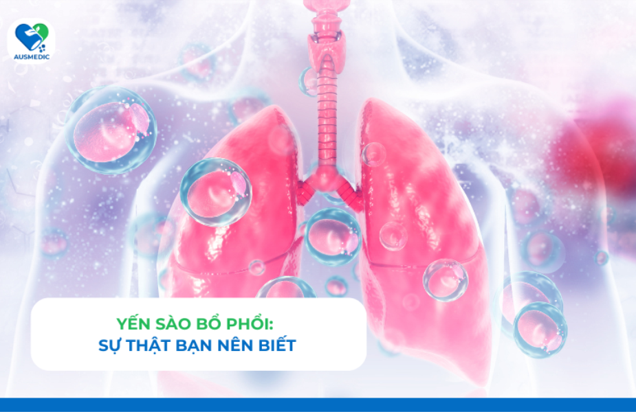 Yến sào bổ phổi: Sự thật bạn nên biết